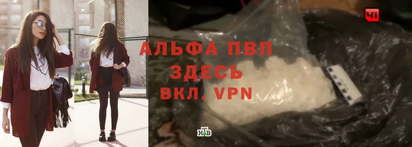 СК Верея