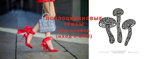 молекула духа Волоколамск