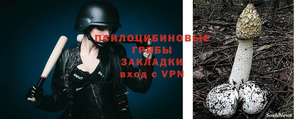 СК Верея