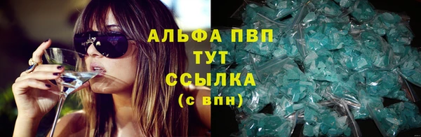 СК Верея
