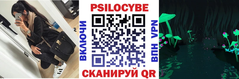 где продают   Гаврилов-Ям  Псилоцибиновые грибы Cubensis 